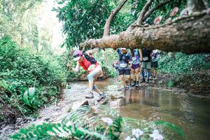 BIB: 
                            <button type="button" onclick="openModal(25476803)" class="btn btn-primary btn-sm float-right btn-popup" data-toggle="modal" data-target=".modal-high-quality">
                        <i class="fas fa-shopping-cart"></i> Add to Cart
                    </button>
                                            <button type="button" onclick="isThisMe(25476803, true)" class="btn btn-success btn-sm float-right btn-popup btn-isme hidden" data-toggle="tooltip" data-placement="bottom" title="นี่คือรูปของคุณใช่ไหม คลิกที่นี่เพื่อเอาเข้าอัลบั้ม">
                        <i class="fas fa-plus"></i> Add to album
                    </button>
                    <button type="button" onclick="isThisMe(25476803, false)" class="btn btn-warning btn-sm float-right btn-popup btn-isnotme hidden">
                        <i class="fas fa-ban"></i> Remove from album
                    </button>